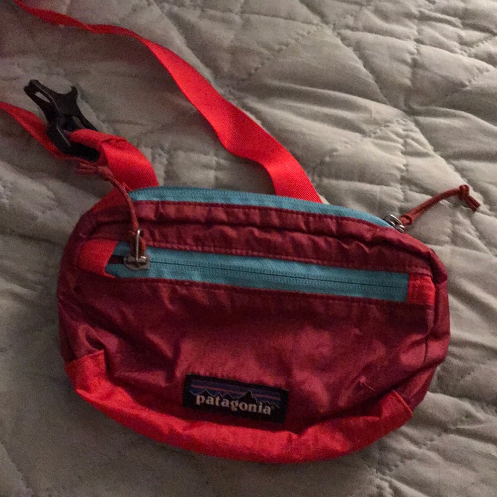 Patagonia Fanny/Hip Pack
